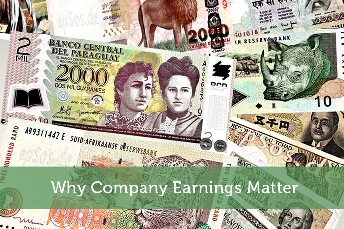 Why Company Earnings Matter