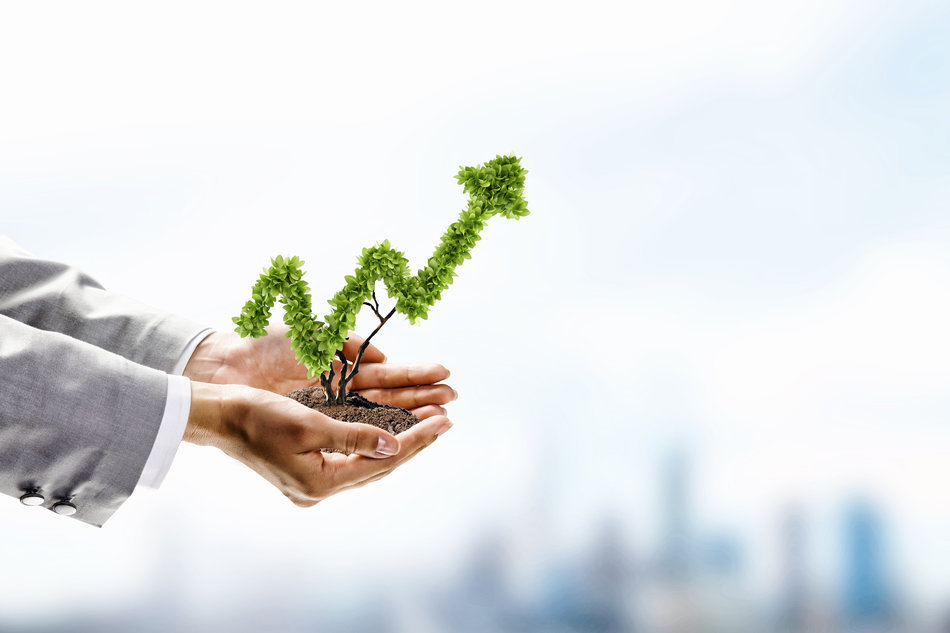 5 Tips to Successful Investing in Stocks