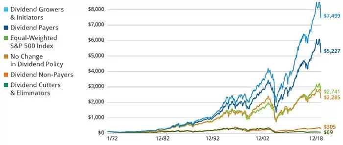 Dividends Graph