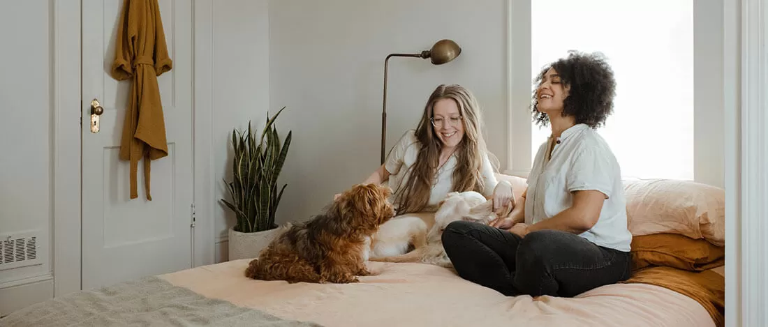 fostering a pet